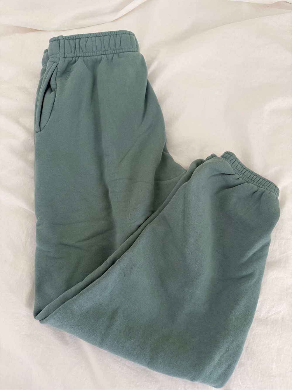 TNA Joggers in Sage Green
